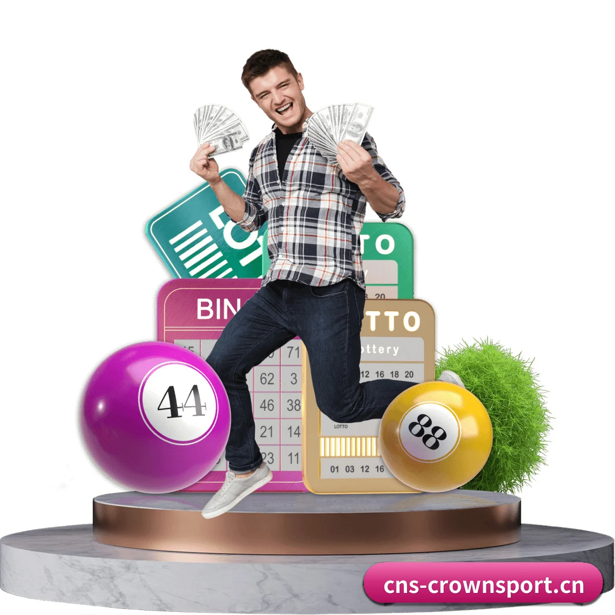 皇冠登录 APP 界面